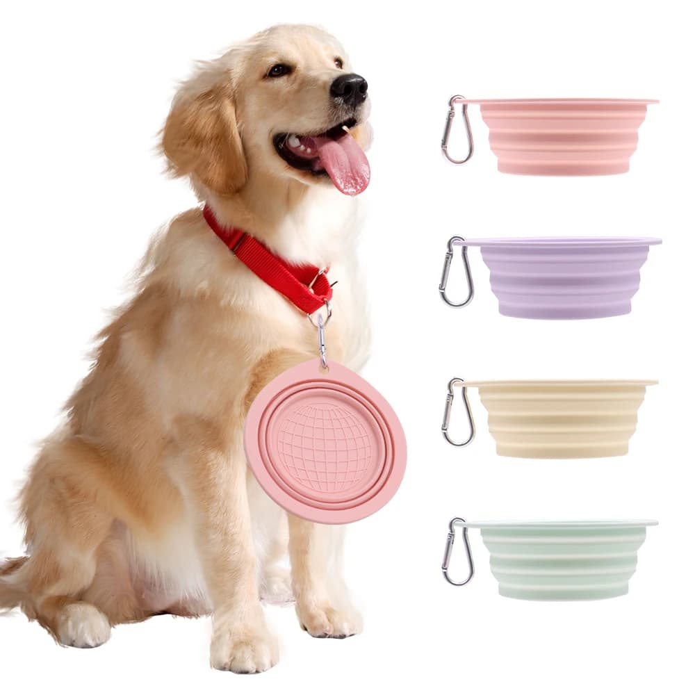Ciotola pieghevole per cibo per cani in Silicone per animali domestici Macaron Color Outdoor Travel forniture pieghevoli portatili piatti con moschettone