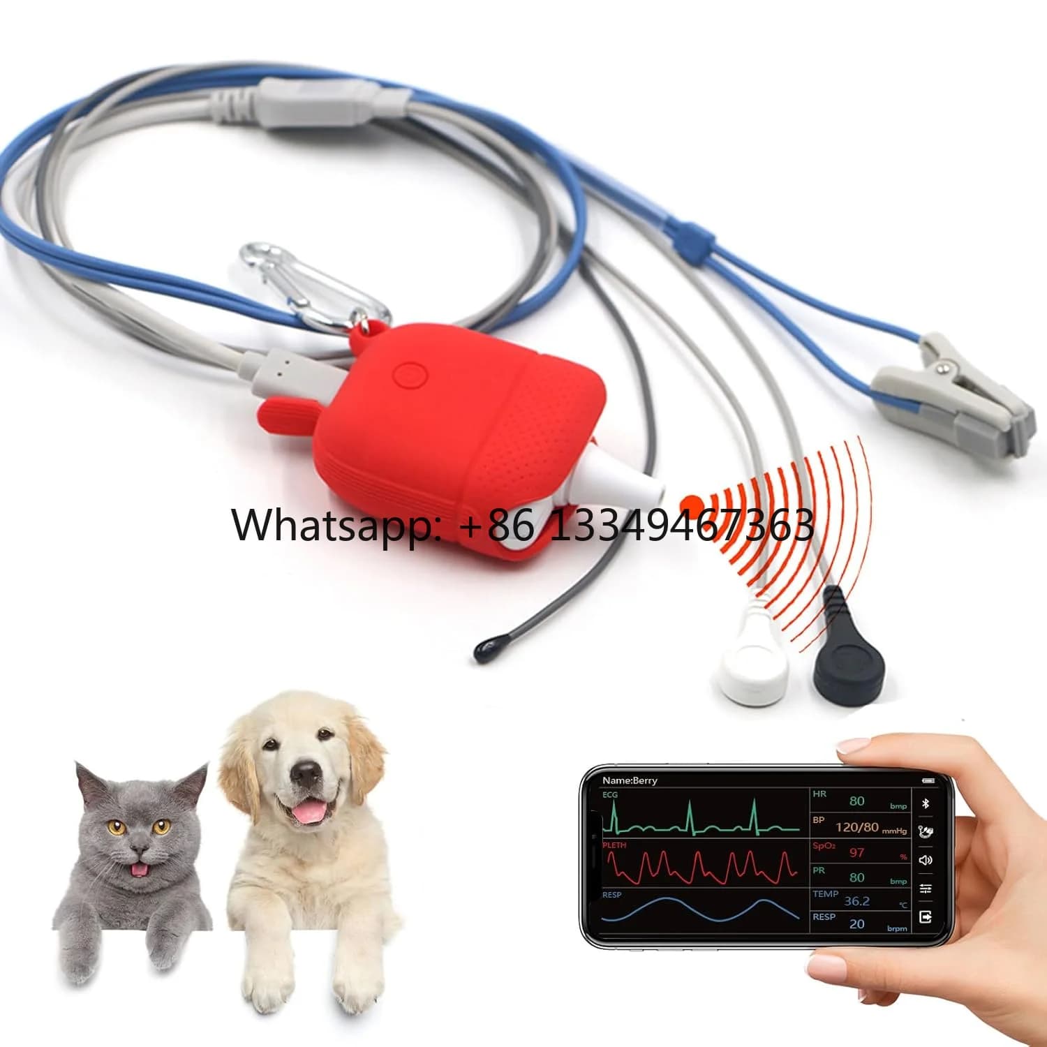 Ossimetro Veterinario Professionale Bluetooth per Animali Domestici