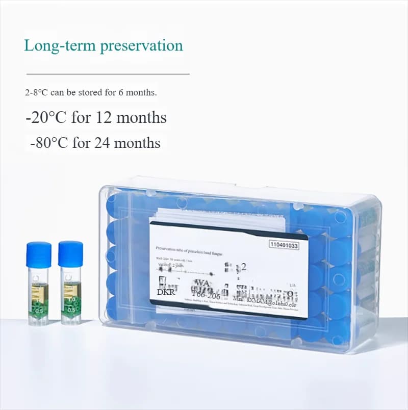 Carbon diaplastic species storage tube boxed magnetic diaplastic species strain transport frozen storage tube cryogenic tube