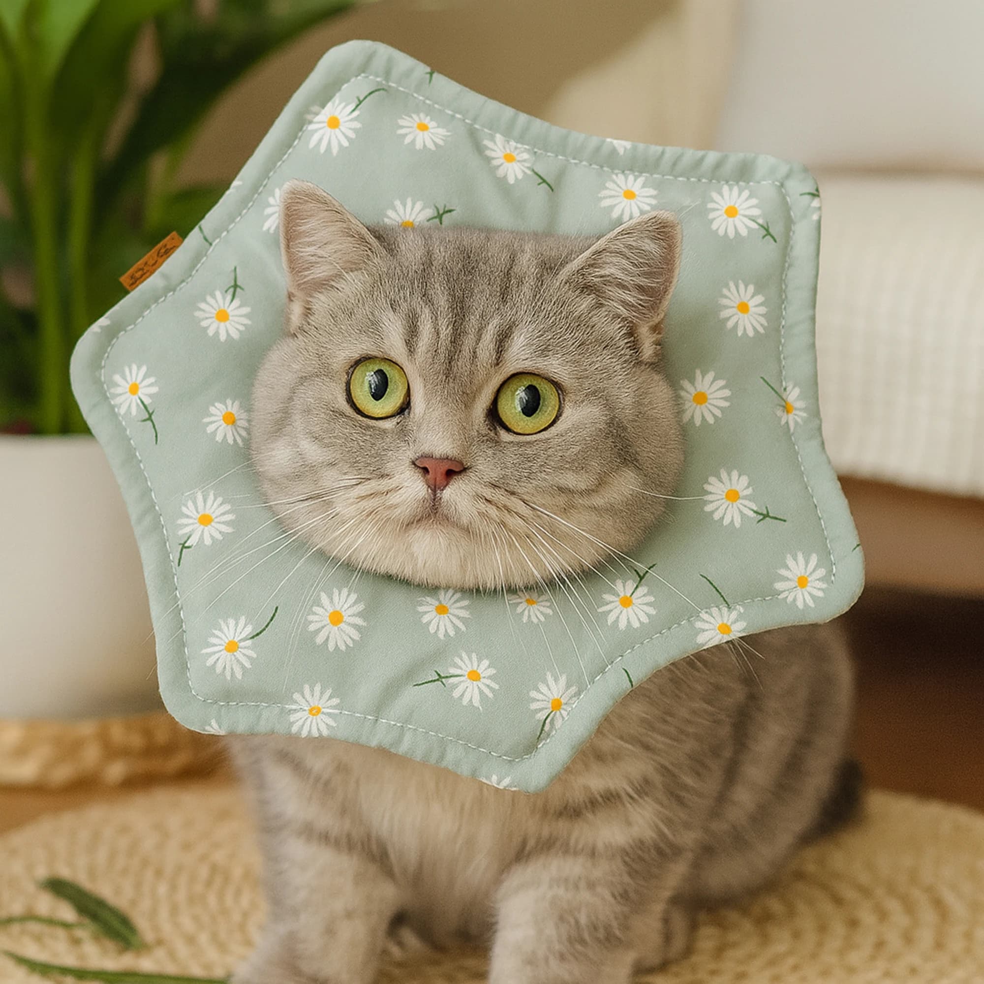 Cat Elizabeth Neck Circle Deworming Sterilization Anti Licking Cat Hood Adjustable Pet Cat Dog Supplies Neck Ring