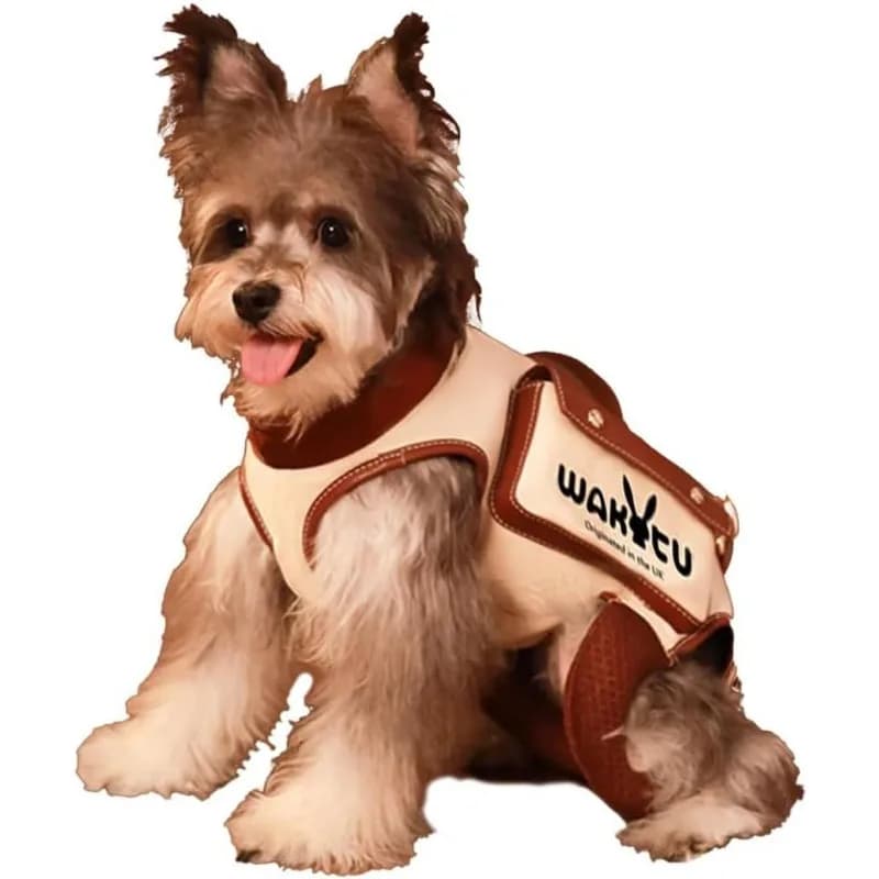 Il cane Wakytu va fuori con una tracolla singola. Guinzaglio. Zaino per gatti, marsupio per animali domestici, borsa per cani traspirante e portatile per uscire