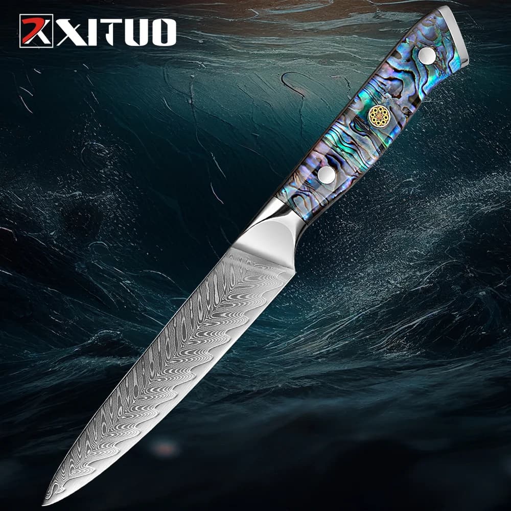 Coltello da sbucciare da 5 pollici Coltello multiuso in acciaio di Damasco VG10 Coltello da frutta affilato per tagliare frutta e verdura Coltello da cucina per sbucciare