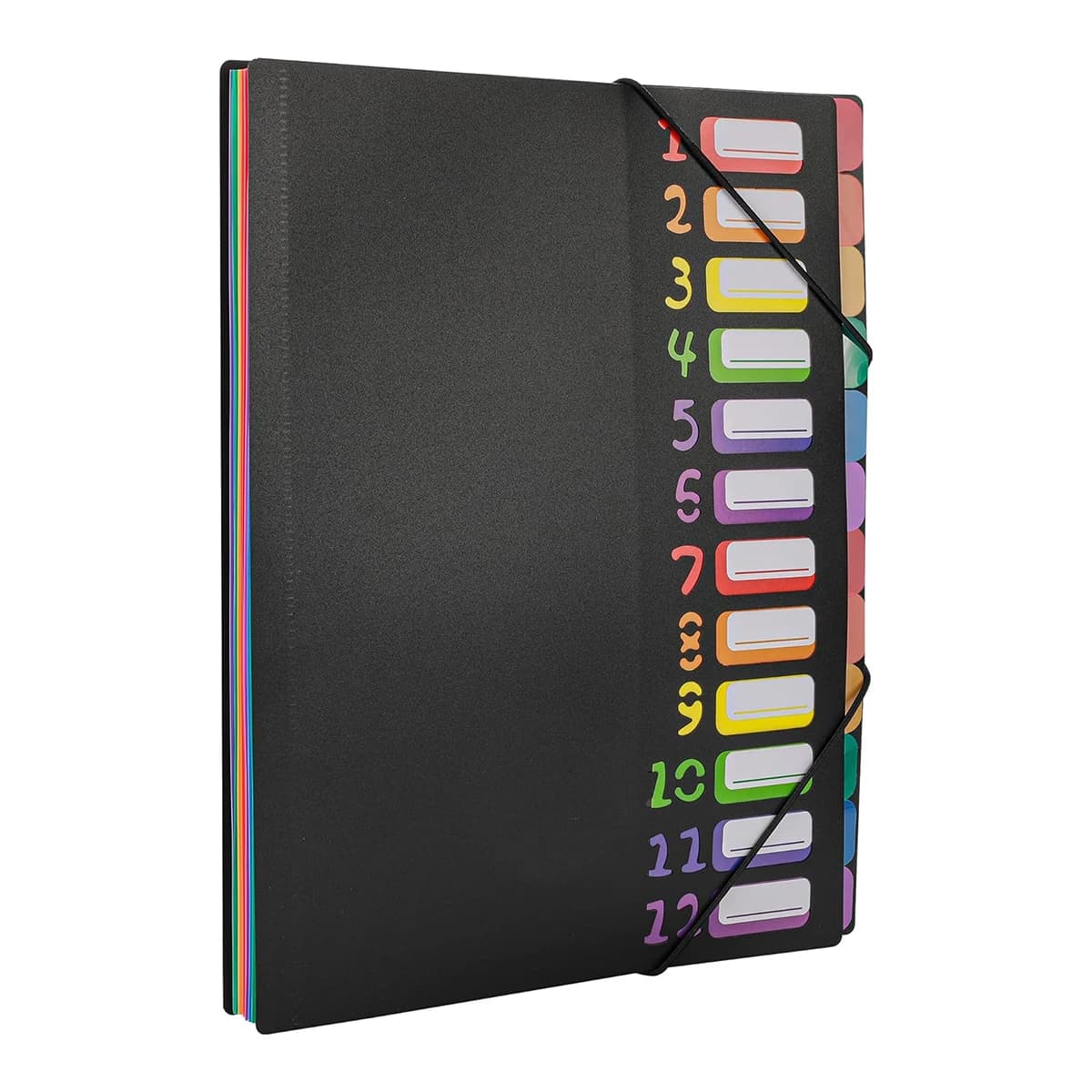12 Pocket Expanding Project Sorter Heavy Duty Monthly Plastic Expandable Folder Organizer, A4 Letter Size, Multicolor