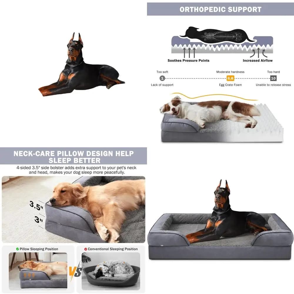 Cuccia Ortopedica XXL per Cani - Impermeabile, con Rivestimento Rimovibile, Base Antiscivolo