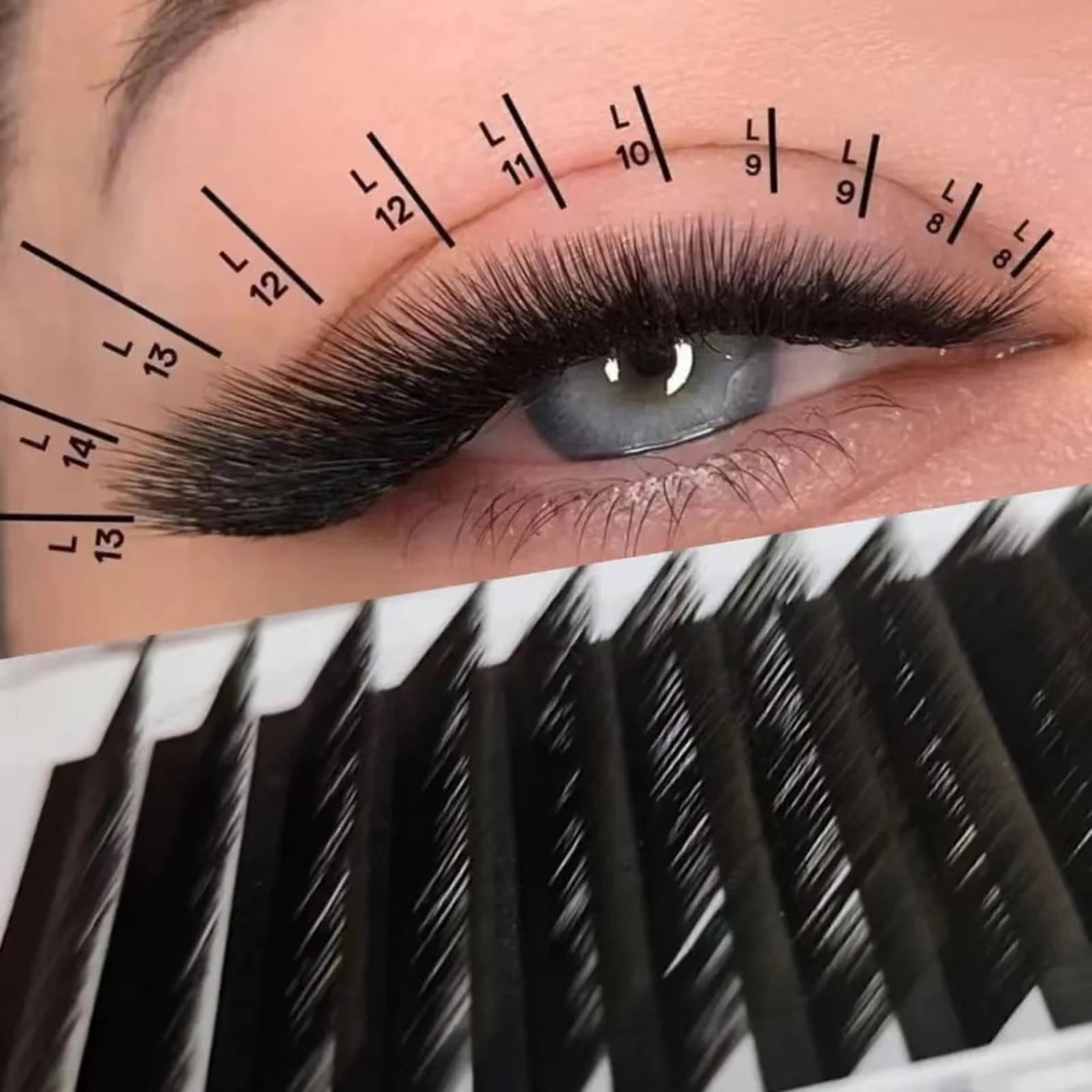 L Curl Easy Fan Extensions fake eyelashes New Fashion Professional mink eyelashes Individual M-shaped eyelashes wholesale for makeup