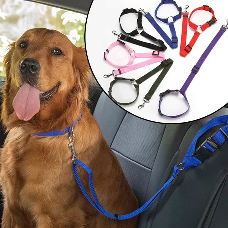 Cintura di sicurezza posteriore regolabile, collare per cani, cintura di sicurezza per animali domestici 2 in 1 in tinta unita, accessori in nylon per animali domestici