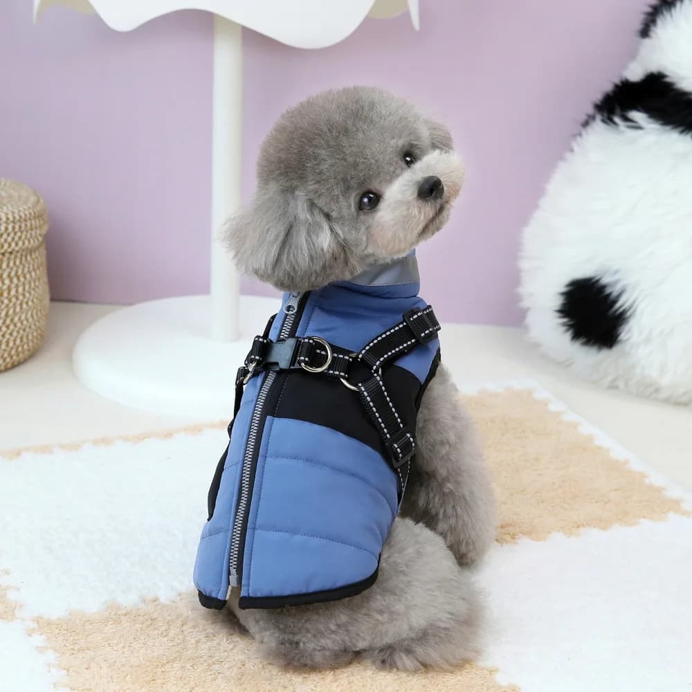 Giacca calda per cani regolabile Cappotto per cani riflettente caldo impermeabile Cerniera con imbracatura imbottita antivento Abbigliamento per cuccioli Abbigliamento invernale