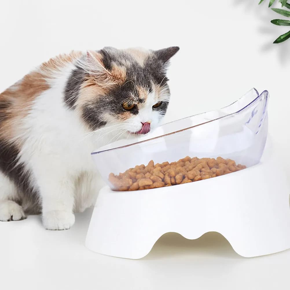 1Set Dual Bowl Pet Feeding Set for Cat Dog Food and Water Smooth Easy Clean Thickened Bite Resistant Stable Base Household