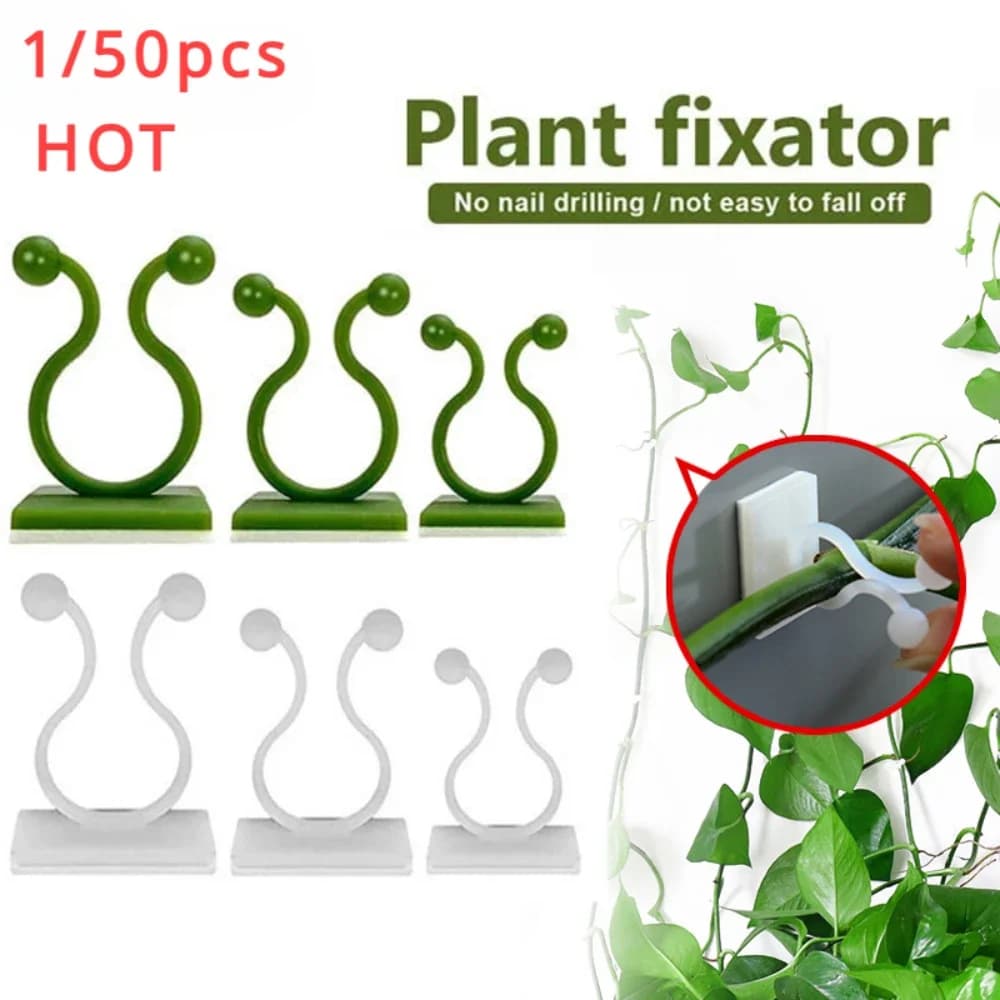 1/30/50 pezzi per accessori da giardino piante vasi da giardino e fioriere arrampicata parete decorazioni per esterni supporto lampada per piante clip vite