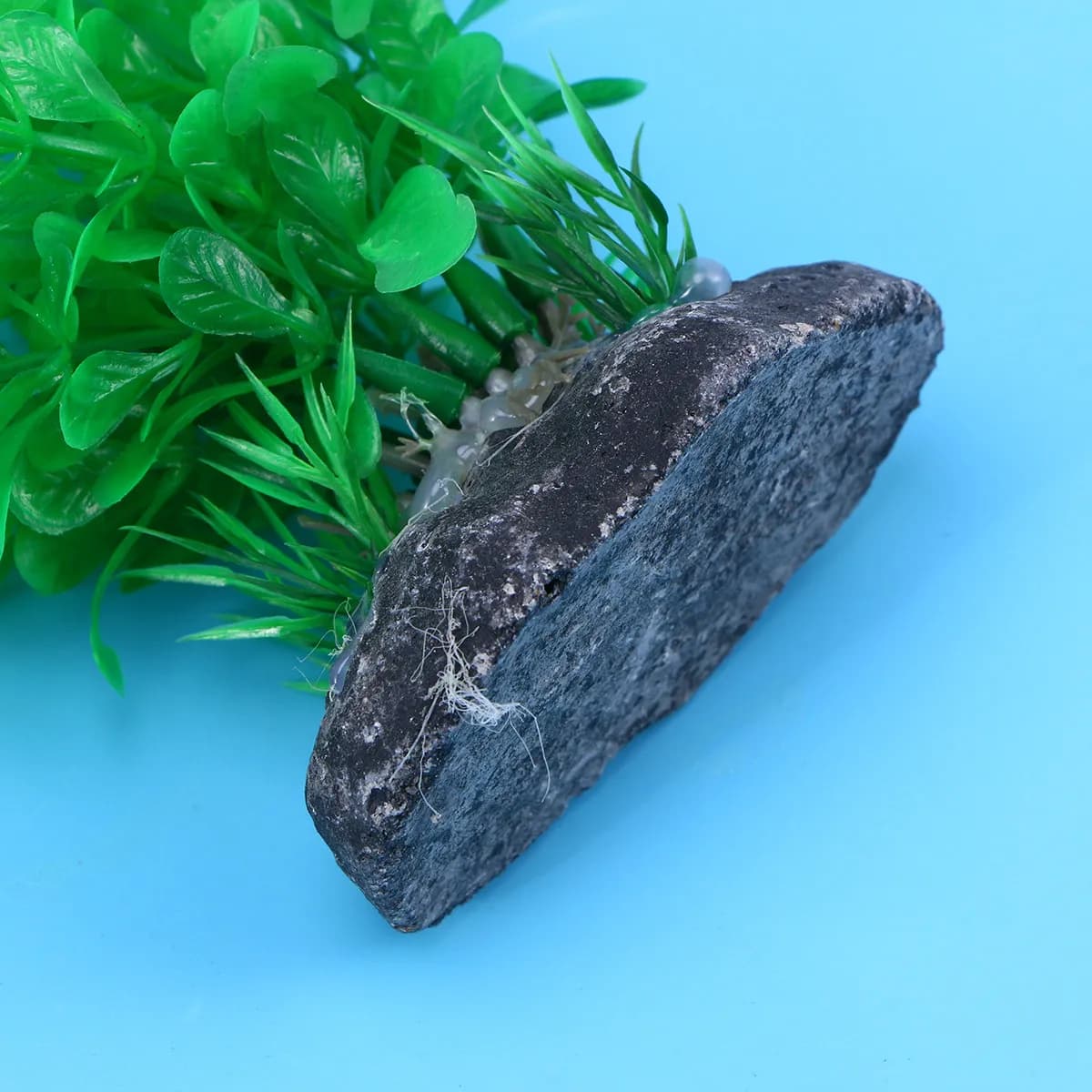Piante artificiali da 35 cm per acquario, decorazione realistica e non tossica per acquari d'acqua dolce e salata.