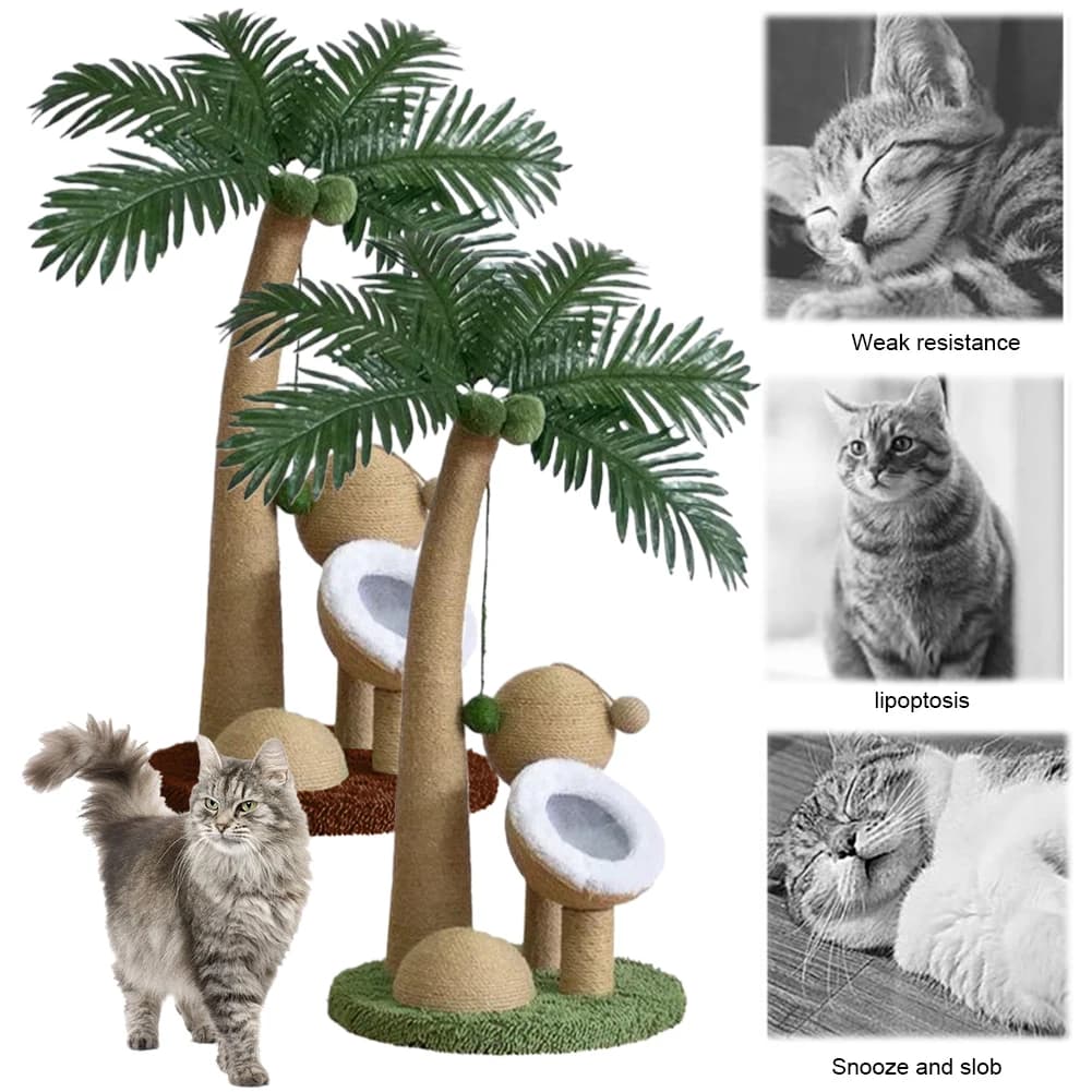 Tiragraffi Interattivo per Gatti a Forma di Albero di Cocco, 28 Pollici, in Corda Naturale di Sisal, per Gatti da Interno