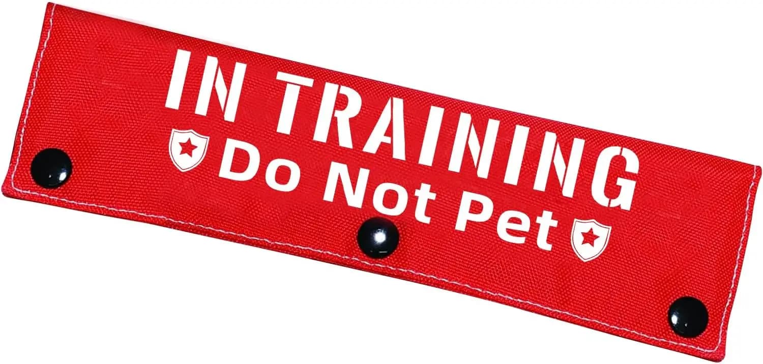 Divertente Guaina Rossa per Guinzaglio - Fascia per Addestramento e Passeggiate con Animali Domestici, Regalo Ideale per Cani e Proprietari