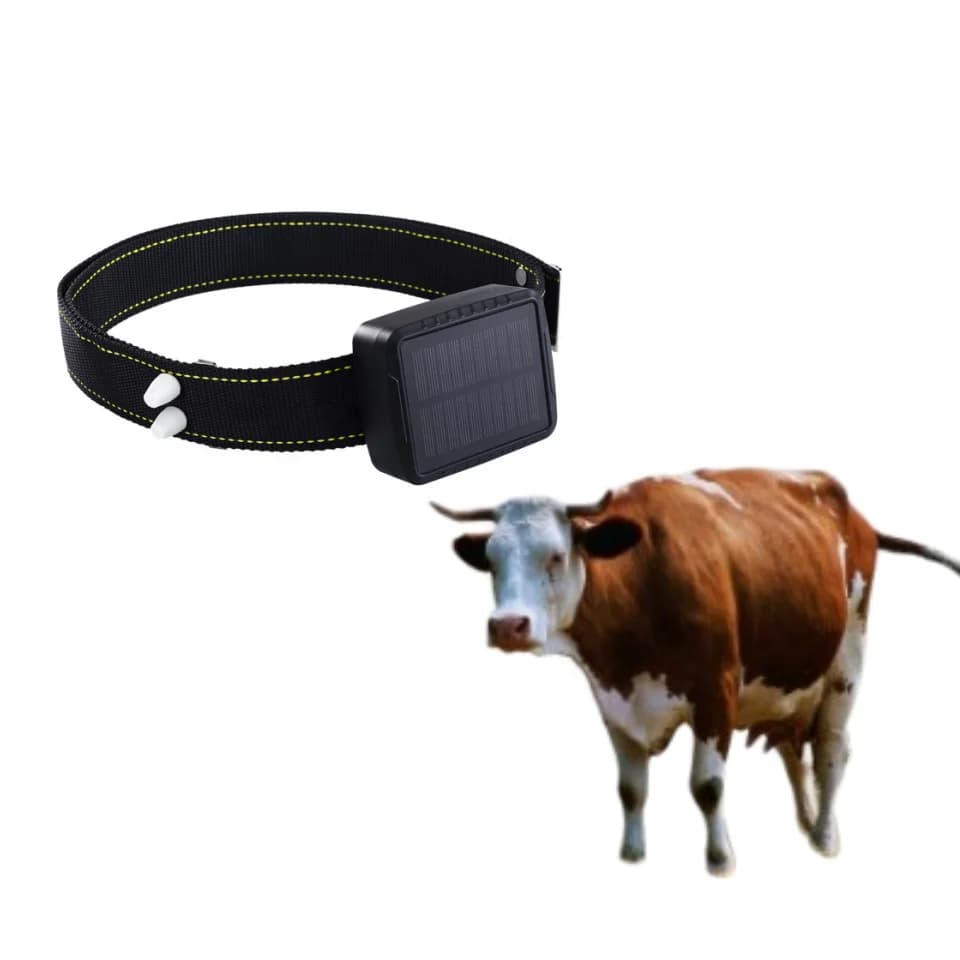 Localizzatore GPS Coofull 4G per Bestiame, Collare per Bovini e Ovini, Tracker in Tempo Reale, Impermeabile e Antifurto