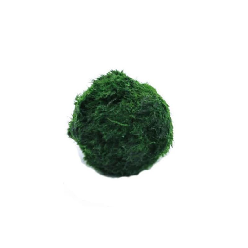 Marimo Moss Balls Live Aquarium Plant Alga Pesce Gamberetti Serbatoio Ornamento Simulazione Palline di alghe verdi Pianta artificiale