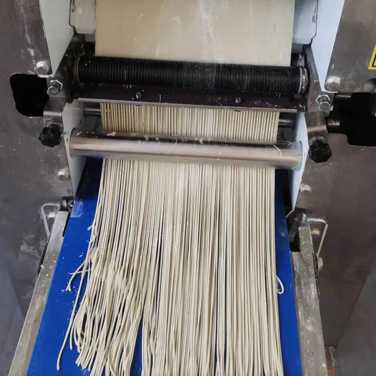 Macchina per pressa per noodle elettrica 220V Rullo per pasta Macchina per gnocchi per pasta da tavolo in acciaio inossidabile Macchina per impastare noodle commerciale