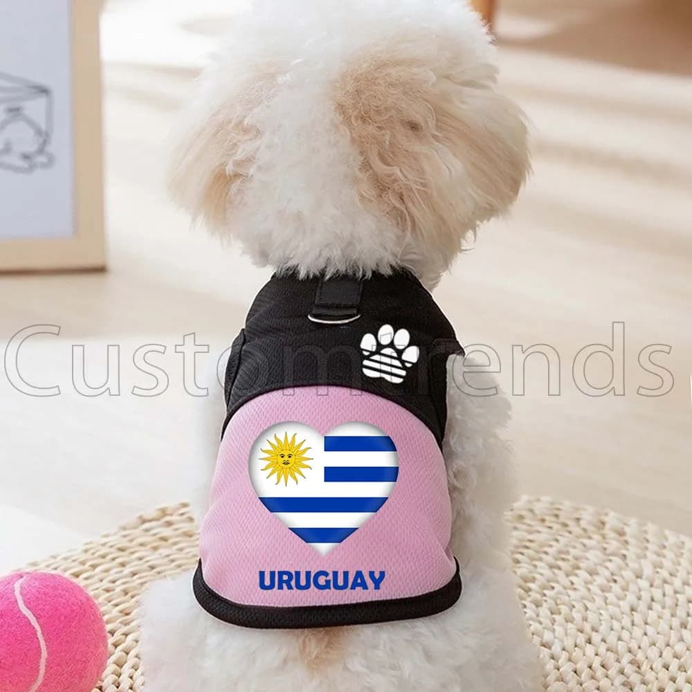 Pettorina a rete con bandiera a cuore dell'Uruguay per cani e gatti, vestito per gattini, gilet estivo primaverile per cani con anello a D per guinzaglio
