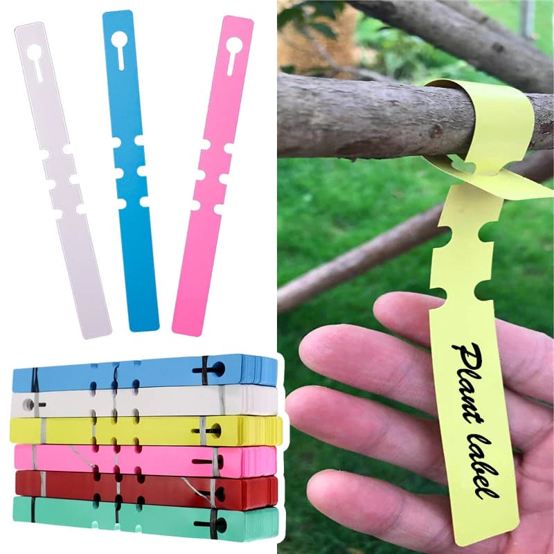 50 pezzi di pennarelli per piante impermeabili etichette per piante in plastica appese strumenti per etichette per marcatori per piante da giardinaggio fornitura di vasi e fioriere da giardino