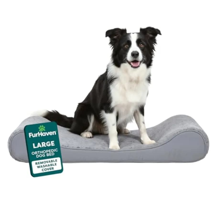 Letto Ortopedico per Cani, Materasso Contorno Luxe Lounger con Lastra in Schiuma Ortopedica Solida per Supporto Articolare, Rimovibile e Lavabile