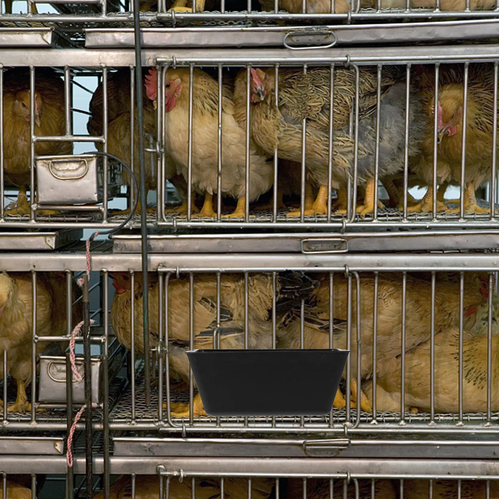 Mangiatoia per Piccioni in Plastica, Contenitore Anti-Rovesciamento per Pappagalli, Galline e Cacatua, Porta Cibo per Pollame