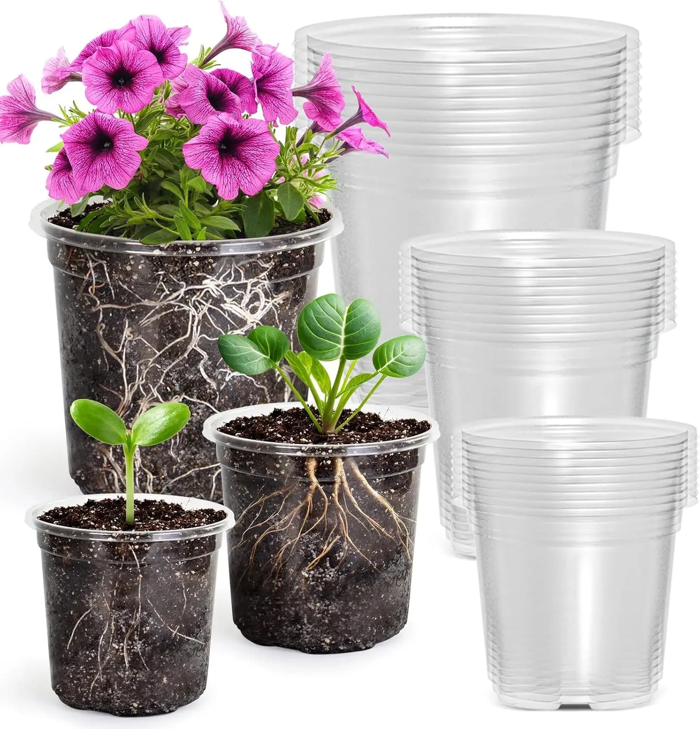 Confezione da 30 Vasi Trasparenti per Semina con Fori di Drenaggio, Vasi in Plastica da 3,5/4/5 Pollici per Giardinaggio Interno ed Esterno