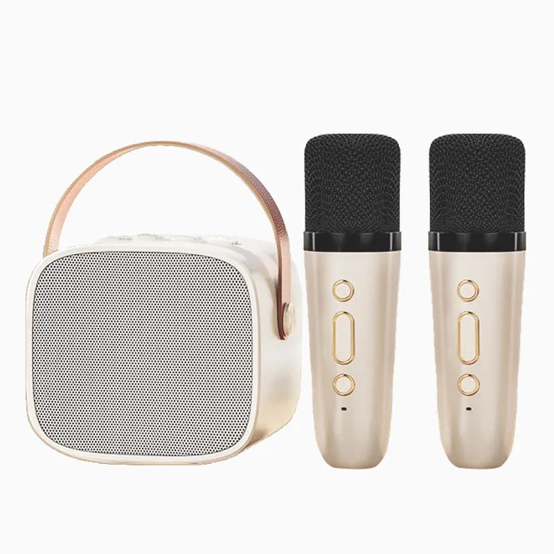 Wireless Bluetooth Speaker with 2 Microphone Portable Music Player Home Karaoke Machine for Family Singing Children Gifts