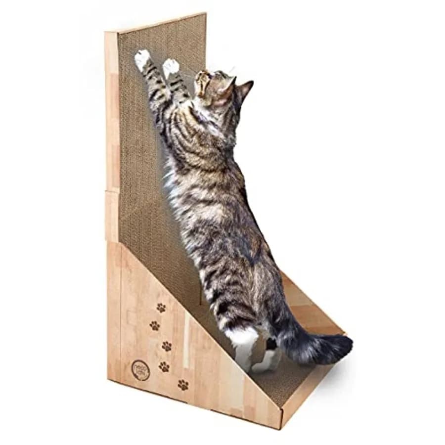 Tiragraffi da Parete per Gatti