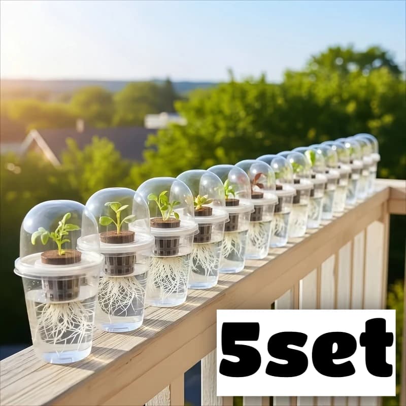 Set di 5 Vasi per Germinazione Visibili, Scatola di Crescita per Piante da Interno, Vivaio, Serra, Vassoio per Semi con Vista Radici Trasparente