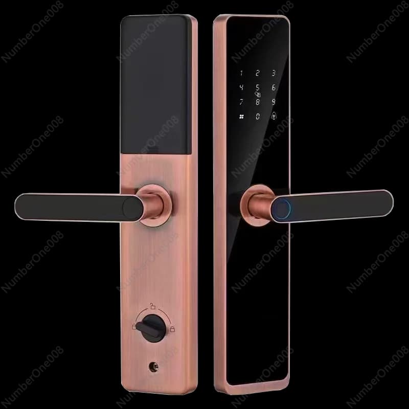 Controllo wireless per smartphone Scheda Rifd per impronte digitali Smart Keyless Smart Door Lock Seradura Smart TT Lock
