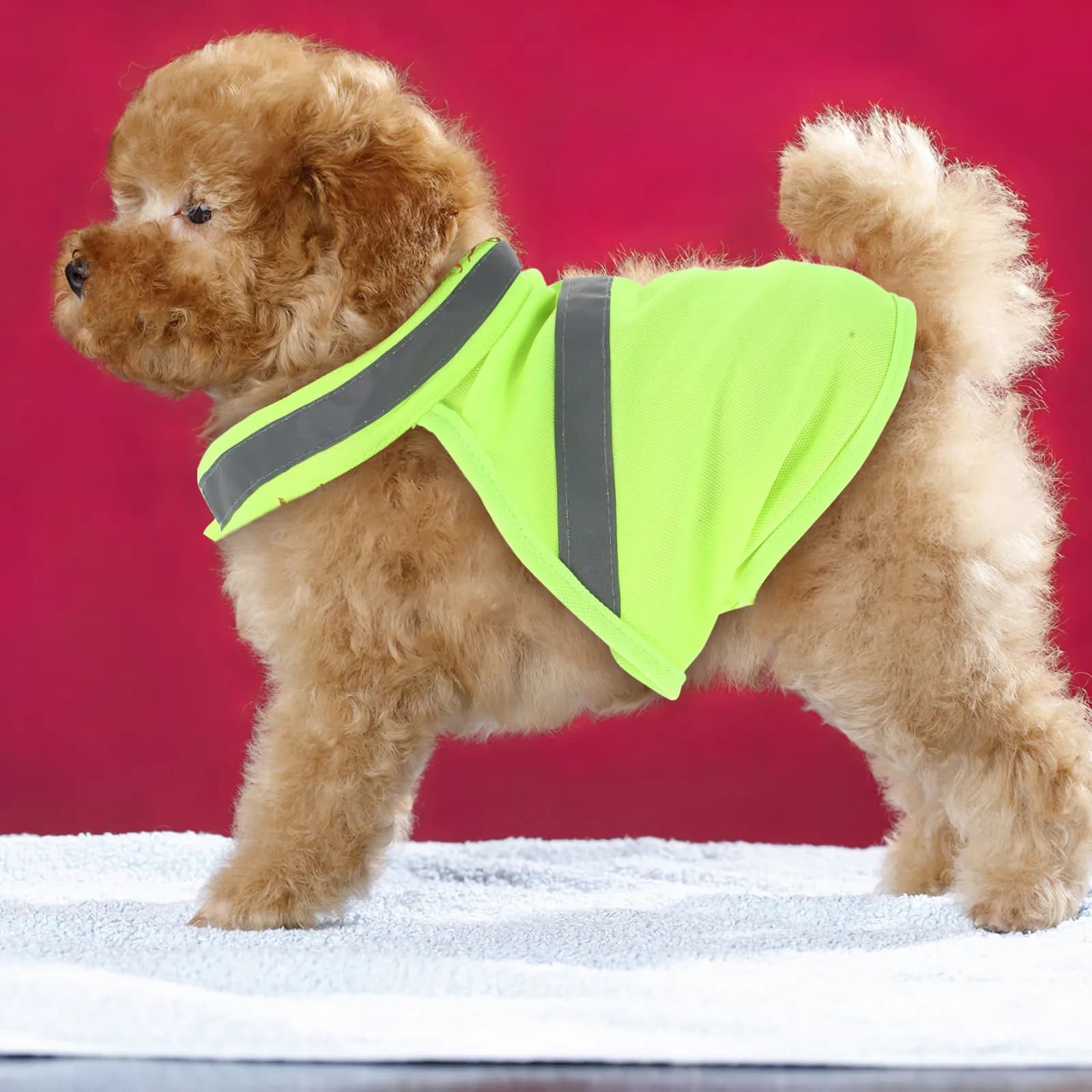 Gilet Riflettente di Sicurezza per Cani, Giallo Fluorescente, Regolabile, Leggero e Traspirante, per Passeggiate, Corsa ed Escursioni