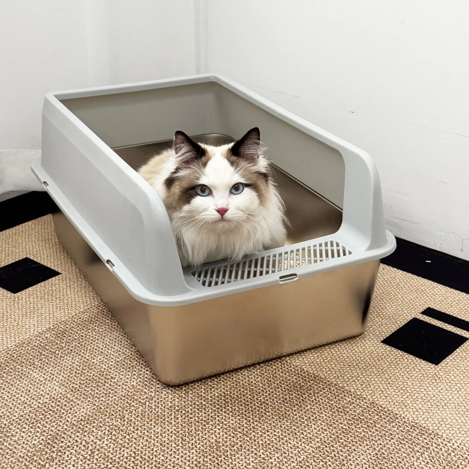 Large High-Sided Stainless Steel Cat Litter Box with Spoon for Small to Medium Sized Kittens Open Cats Litter Pan Easy Clean