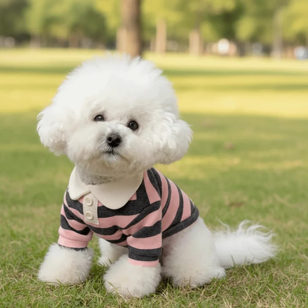 Abbigliamento per Animali Domestici, Maglietta a Righe con Colletto per Cani, Comoda e Morbida, Gilet Traspirante e Rinfrescante, Felpa per Gattini