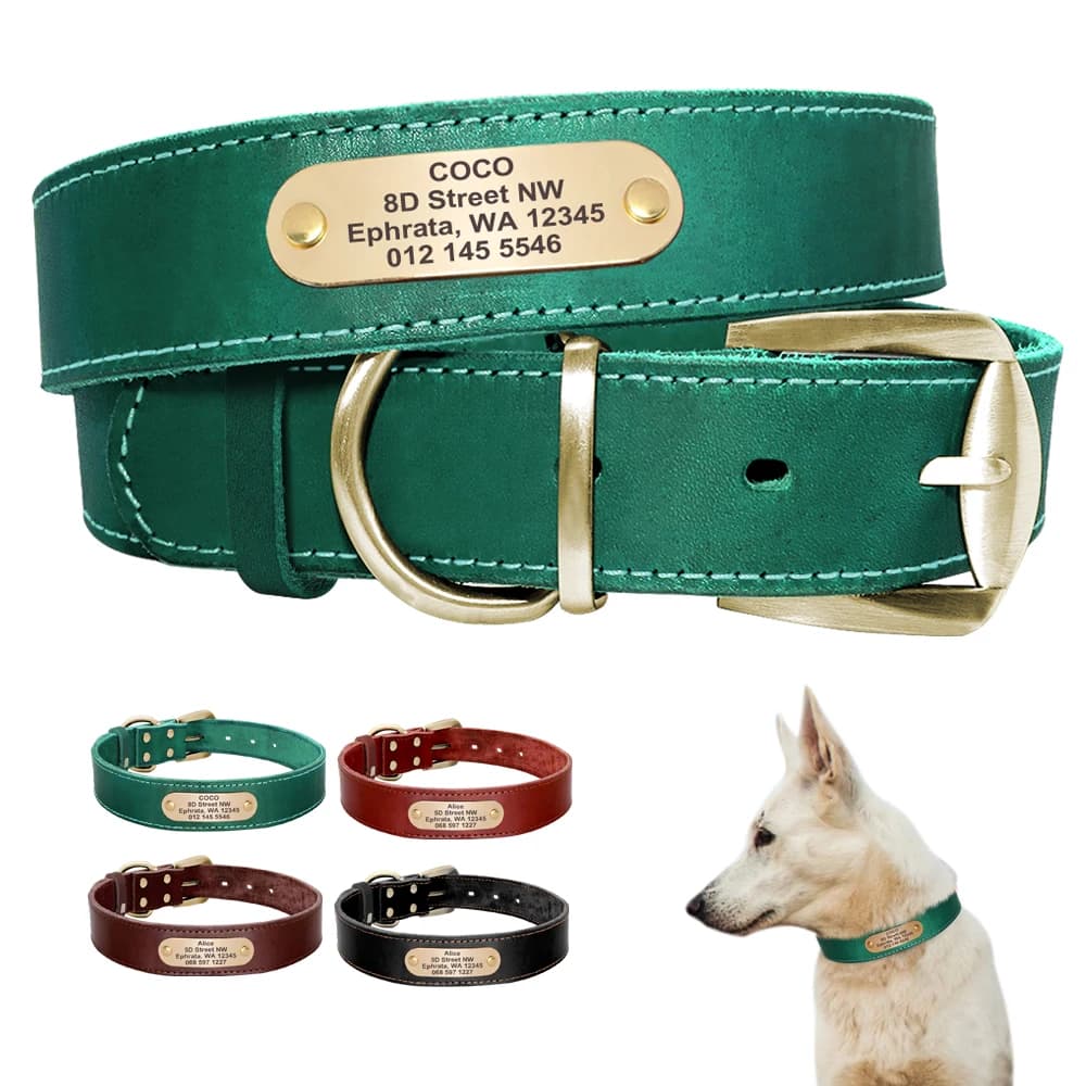 Collare per cani in pelle personalizzato Collari per cani personalizzati Pitbull Collana identificativa per animali domestici incisa gratuita regolabile per cani di taglia piccola, media e grande