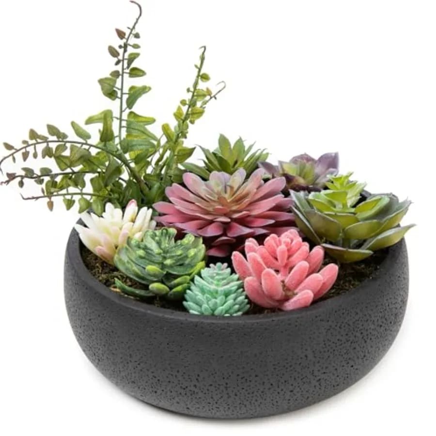 Composition of Modern 8 Inch Artificial Succulent Plants, Assortment of Fine Plants in Black Cement Vase for Home Decoration