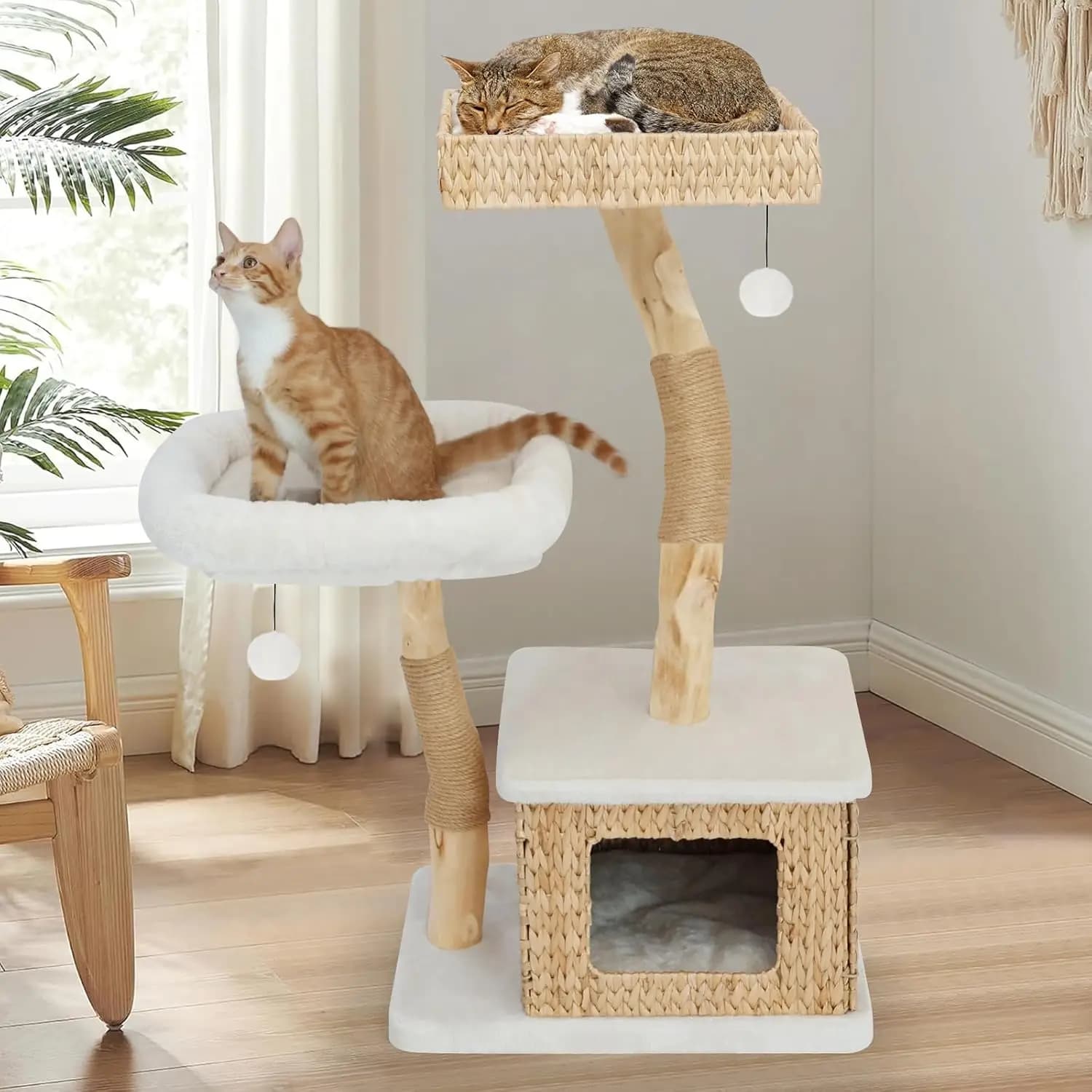 Albero per Gatti Moderno in Legno Massello per Uso Interno, per Gatti di Taglia Grande, con Grotte, 2 Grandi Posatoi, Tiragraffi e Giocattolo Sospeso