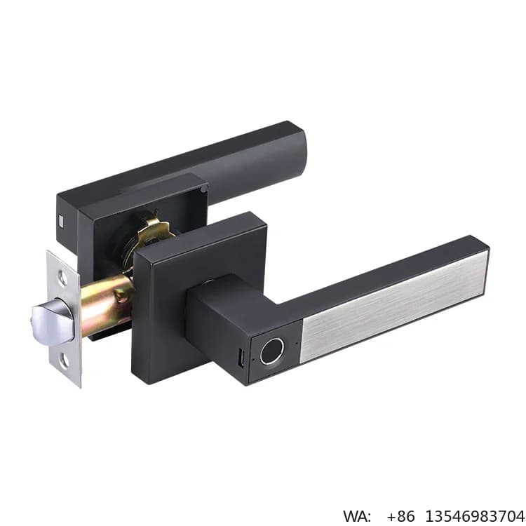 New Trend Door Electronic Lock Fingerprint Door Handle Gate Lock Smart Door Lock Easy Install