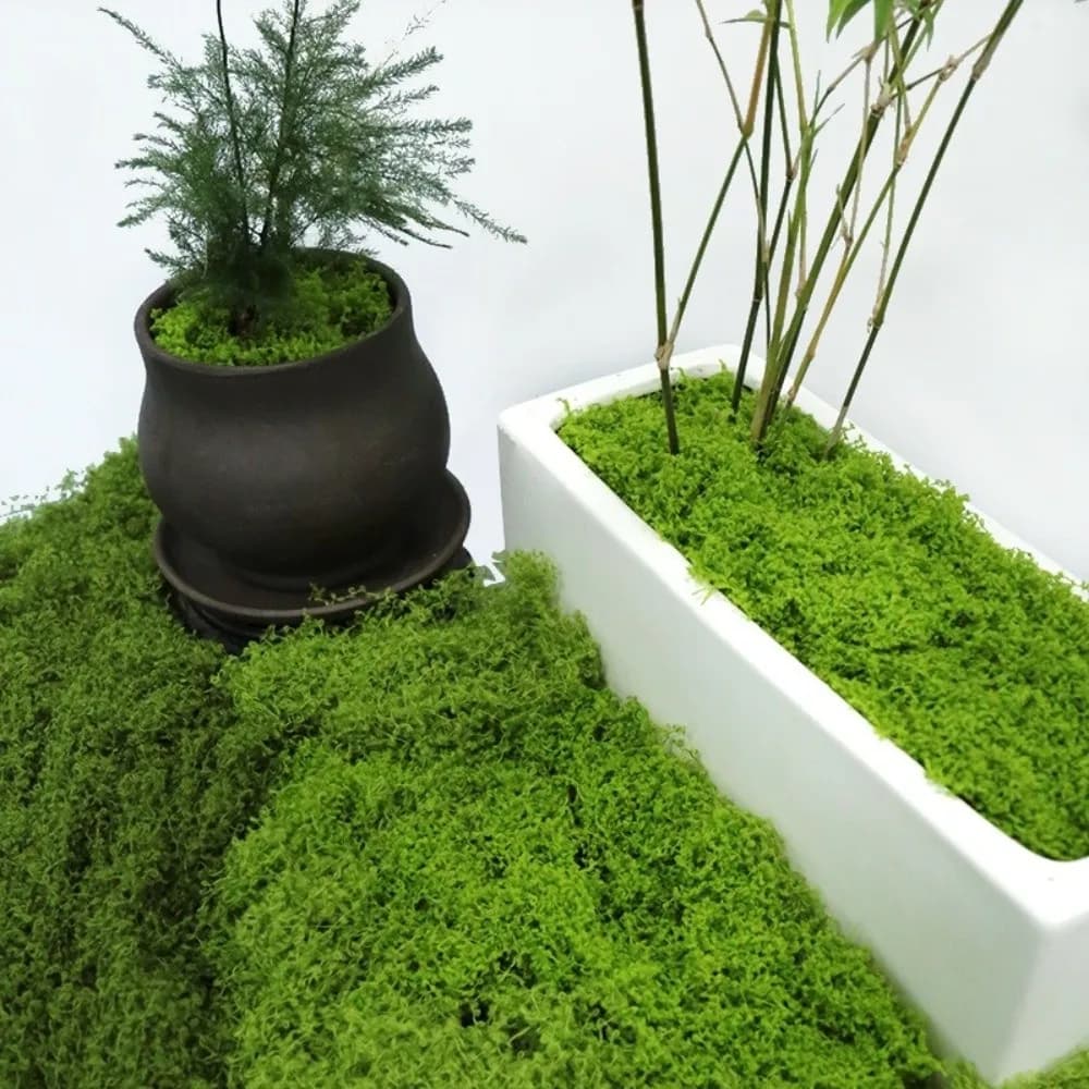 Polyester Artificial Moss Plants DIY Craft Realistic Texture Faux Preserved Moss Year-round Green No Watering