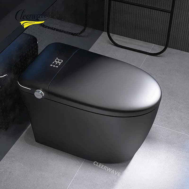 Modern Smart Toilet Black Heat Seat Full Function Intelligent Bidet Hip Cleaning For Women Included WC Commode Various Colors