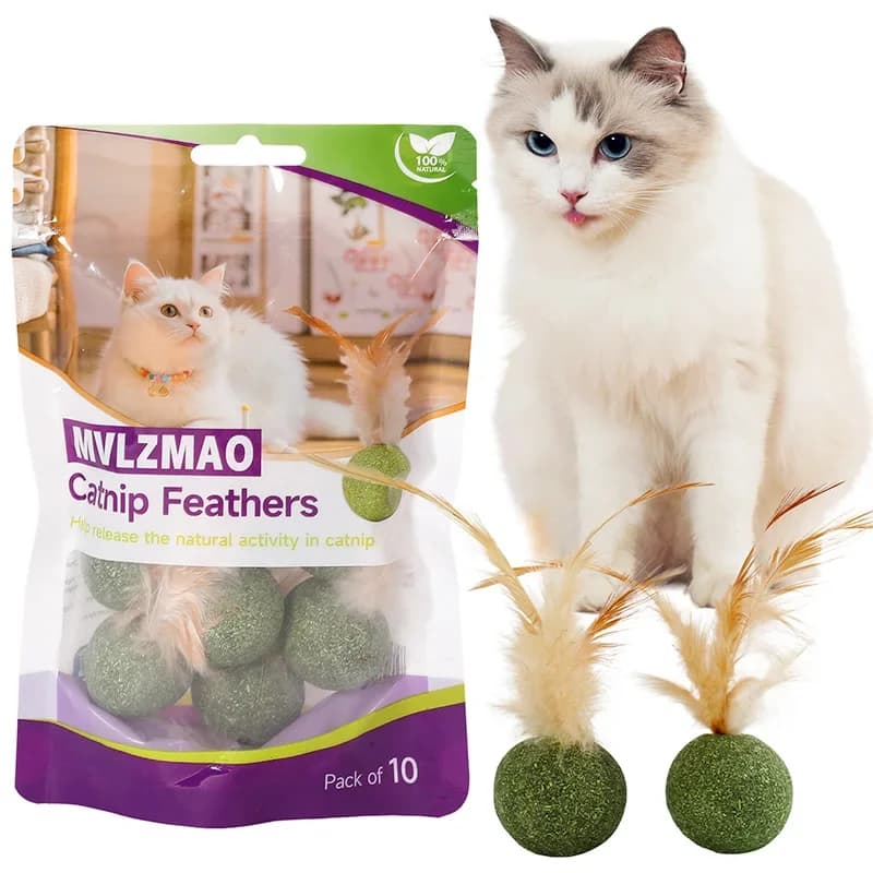 Giocattoli per gatti Erba gatta Gattino Erba gatta Piume Palla Lecca-lecca naturale interattiva Piume di gatto naturale Design Pulizia dei denti di gatto