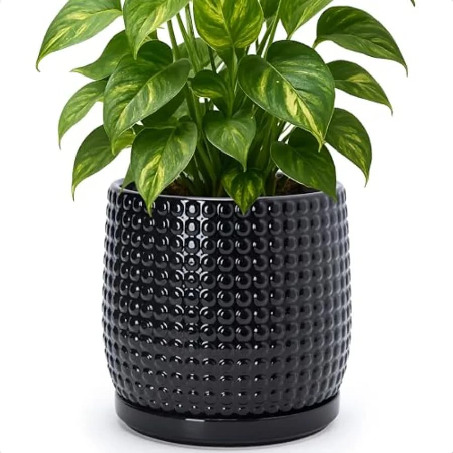 Vaso in Ceramica da 8 Pollici con Perline - Fioriera in Gres con Fori di Drenaggio e Sottovasi per Piante Grasse o Fiori da Interno