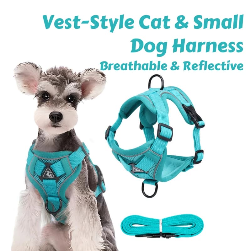 Pettorina per cani e gatti in stile gilet – Design riflettente traspirante e resistente alle fuga con cinghie imbottite per una passeggiata sicura all'aperto