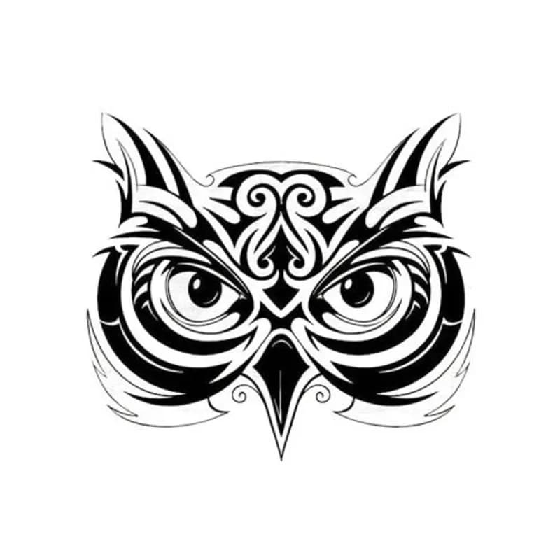 Car Sticker with Motivo Gufo, Anime Sticker, Waterproof Accessories and Sun Resistant, PVC External Parts, Custom Vehicle Supplies