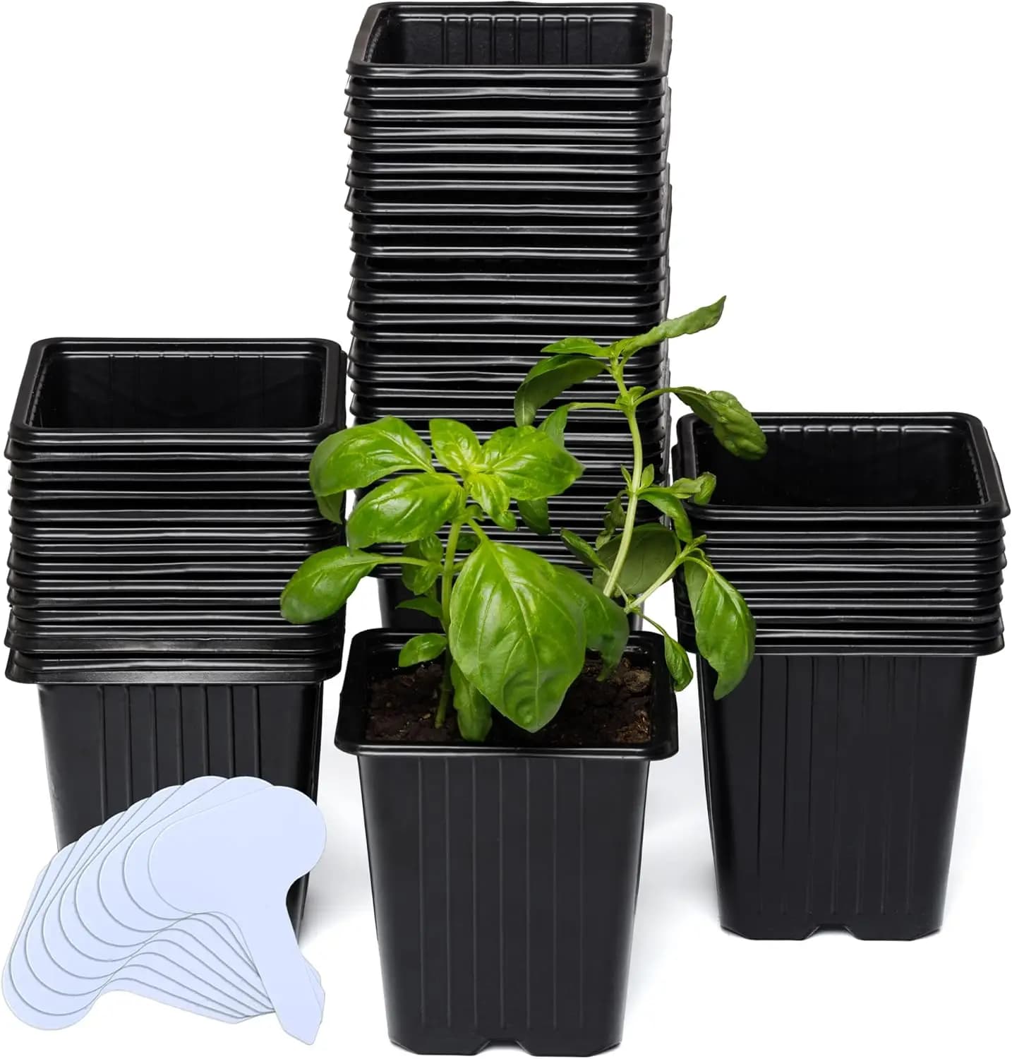 Pack of 60 Square Vases for Semina with Draining Holes, Reusable Containers for Flowers and Vegetables, Includes 10 Plastic Labels