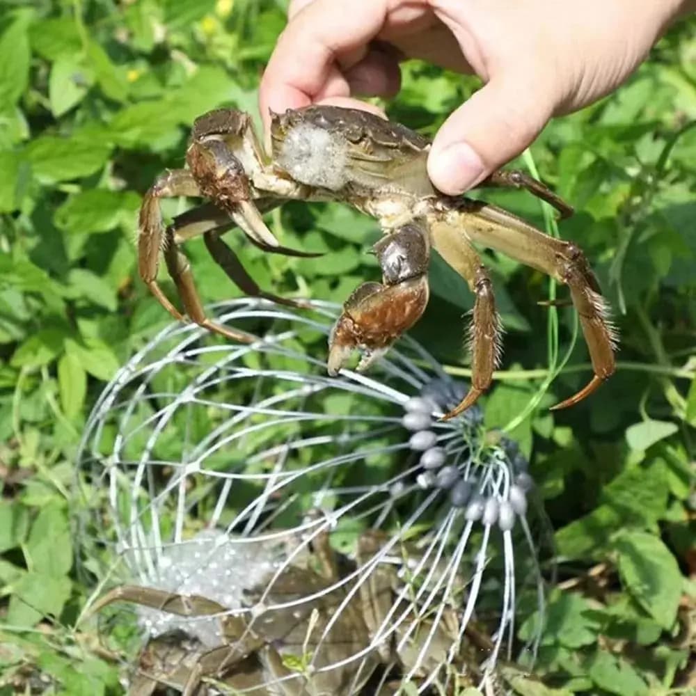 1 Pezzo Rete Trappola per Granchi in Filo d'Acciaio, Apertura e Chiusura Automatica, Gabbia da Pesca in Acciaio Inossidabile 52/72cm, Accessori per la Pesca all'Aperto