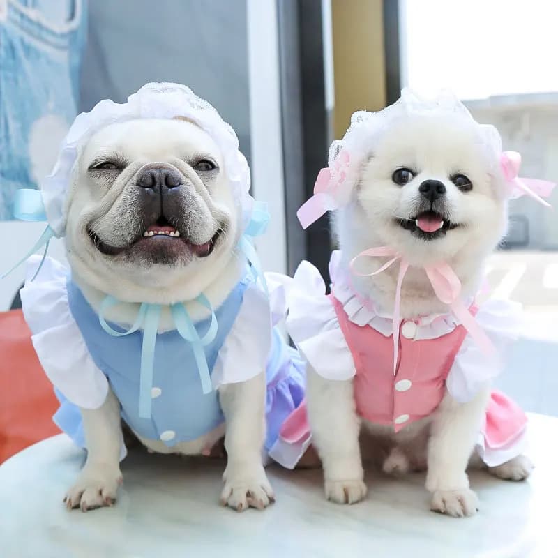 1Pcs Spring Summer Dog Dress With Leash Harness Pet Clothes For Dogs Cats Puppy Kitten Walking Skirt Apparel Supplies P019