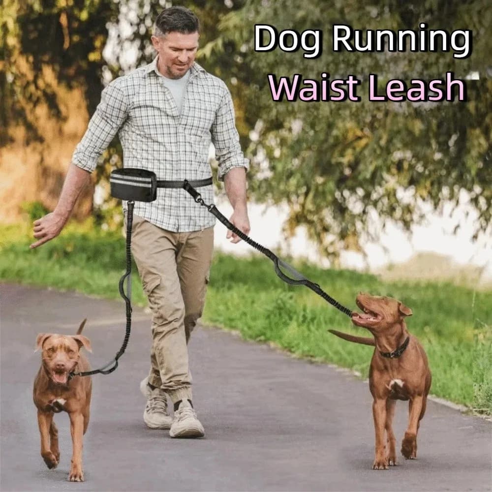 Guinzaglio for Reflective Dogs with Adjustable Belt, Retractable with Pocket with Hinge, Padded Handles for Free Hand Racing