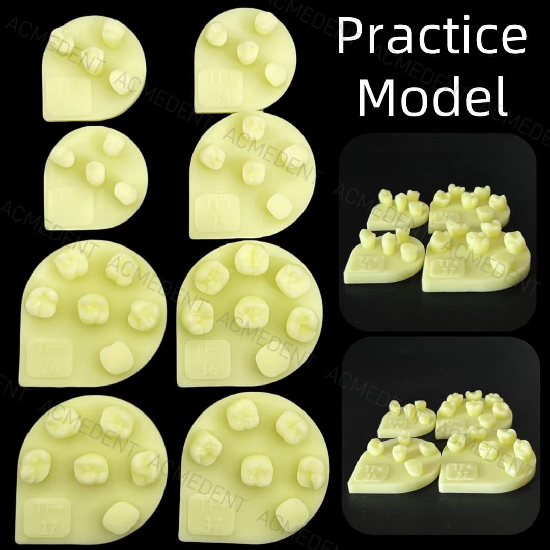 8 pz/kit Dentale Composito Resina di Riempimento Modello di Pratica Denti Molari Odontoiatria Studente Formazione Modello di Prova Pratica Pila di Resina