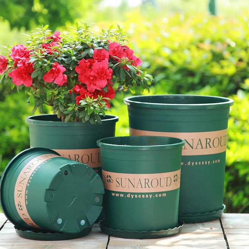 Vases from plastic flowers, series of artificial fat plants Decorative collection Living room Plants from balcony Vaso bonsai