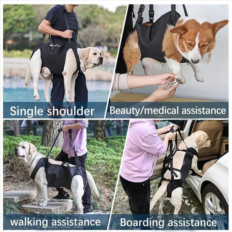 B62B-Carrying per cani Imbracatura di supporto per animali domestici Riabilitazione per cuccioli Gilet di sollevamento Cinghia regolabile Maniglia addensata per lesioni