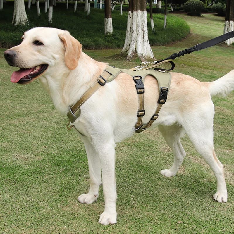 Nylon Dog Walking Chest Straps Pet SuppliesNo Pull Large Dog Harness Vest Escape Proof Big Dog Harness with Handle Reflective