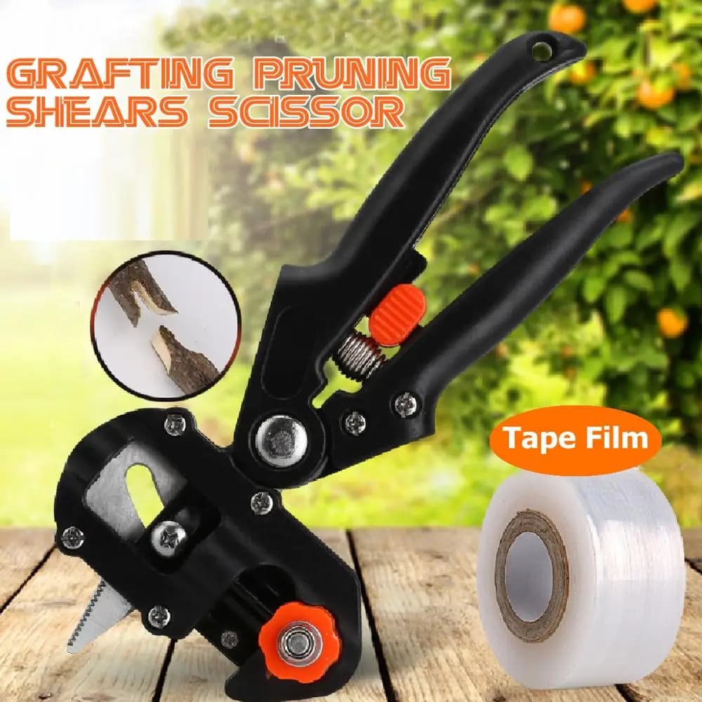 Cesoie Forbice Garden Potting of fruit trees Grating tool 3 blades Cutting tool Tool for shaft grafting